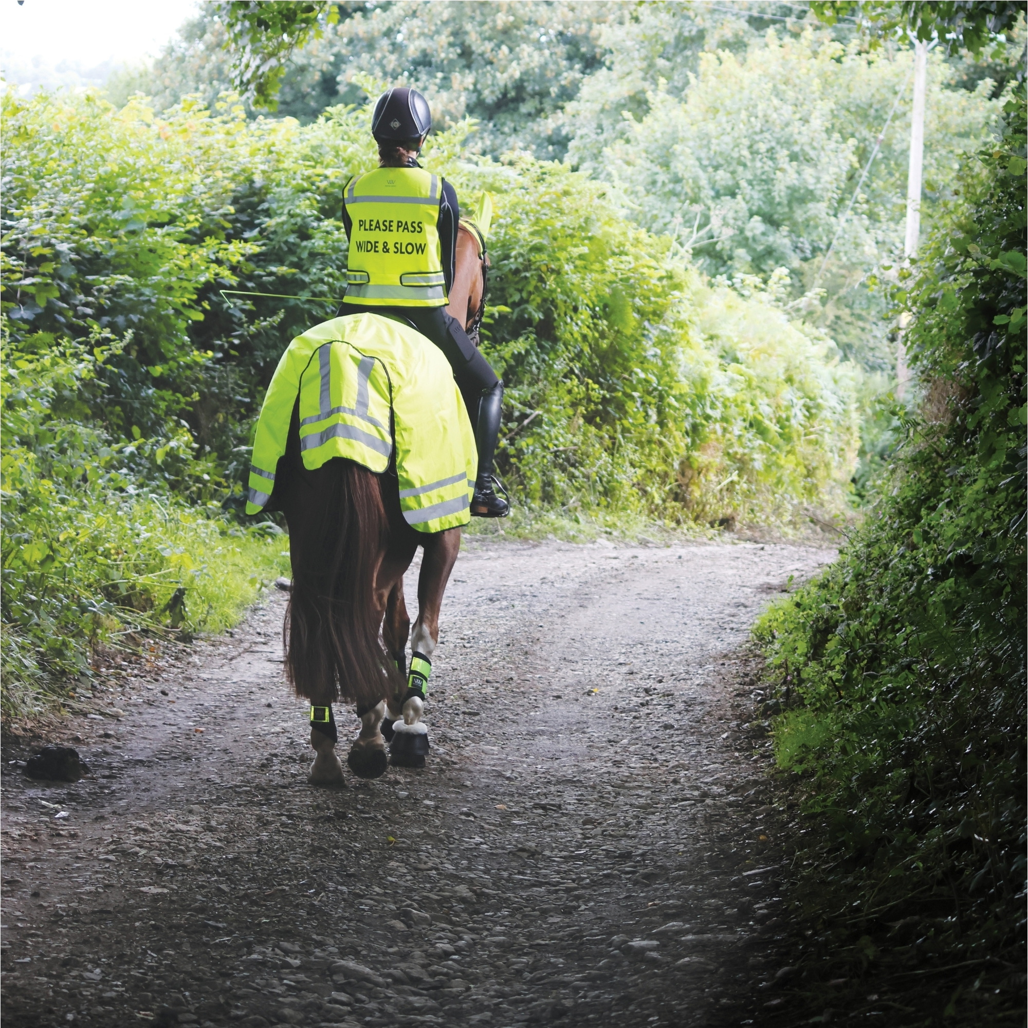 Woof Wear Hi Vis Exercise Sheet WS0032 - VZYE - L - Hi Viz Yellow
